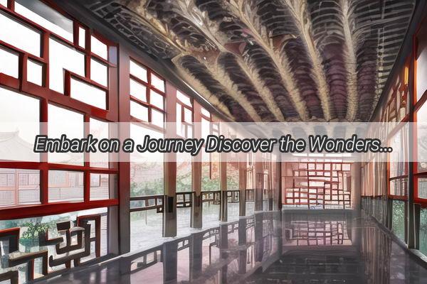 Embark on a Journey Discover the Wonders of Chinas Direct Trains